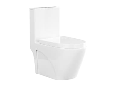 Vente-unique - WC à poser blanc brillant en céramique - Evacuation horizontale - NAGILAM
