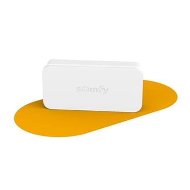 Somfy 2401487 - IntelliTAG - Détecteur auto-protégé de vibration pour intérieur ou extérieur - Détection avant l'ouverture - Compatible One (+) & Home Alarm (Advanced et Essential)