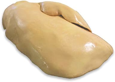 Foie Gras de Canard Cru "Type Restauration" - IGP Sud-Ouest - Pièce de 650 g - Non déveiné