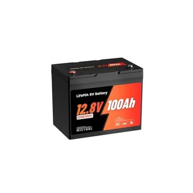 Batterie LiFePO4, Batterie Lithium 12V 100Ah 9.5Kg Group 24 Grade A, 98% d'Efficacité, 16000 Cycles, BMS 100A, IP65, Support Alliage, pour Camping-Car, Solaire, Système Off-Grid