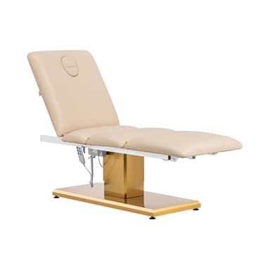 Physa Fauteuil esthétique 300 W 200 kg Beige/Or - Table de Massage de Soins Tatouage