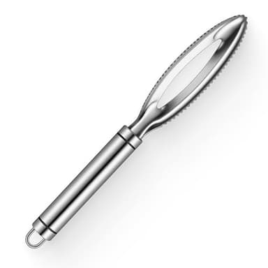 Écailleur Poisson Professionnel en Acier Inoxydable 304, Écailleur à Poisson Robuste et Antirouille, Grattoir à Poisson Ergonomique pour Enlever les Écailles Facilement et Rapidement en Toute Sécurité