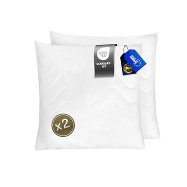 FAM' Home de Luxe Oreiller 65x65 Lot de 2 - Garnissage volumétrique (820g) - Blancs ergonomiques - Entretien Facile - Lavable Jusqu’à 95 °C - Moelleux Coussin 65x65cm Hypoallergéniques - Anti acarien