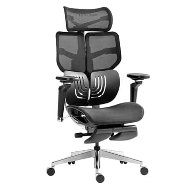 HINOMI X1 Chaise de Bureau Ergonomique à Dossier Haut, Repose-Jambes Intégré, Accoudoirs 6D, Dossier 4 Panneaux, Soutien Lombaire Ajustable, Siège Respirant, Confort Idéal pour Bureau (Noir,L)