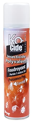 K-OCIDE - Foudroyant Polyvalent - Insecticide Volants - Rampants - Valve Mini-Jet - 400 ml