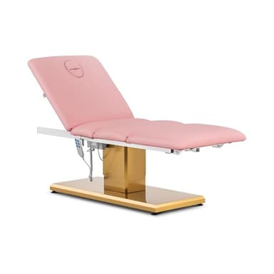 Physa Chaise Longue cosmétique électrique 150 kg Rose/doré Table de Traitement thérapeutique Tatouage