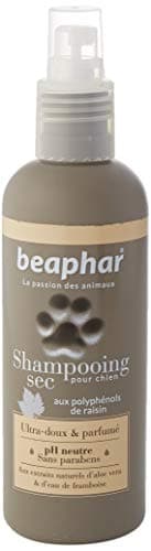 BEAPHAR – Spray Shampoing Sec Premium Ultra-Doux pour Chien – Extraits naturels d'Aloe Vera et de l'eau de Framboise – Fortifie et redonne de l'éclat au Poil – Prêt à l'emploi, sans rinçage – 200 ML