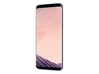 Samsung Galaxy S8 Smartphone débloqué 4G [Import Allemagne] (Ecran : 5,8 pouces - 64 Go - 4 Go RAM - Simple Nano-SIM - Android Nougat 7.0) Orchidée