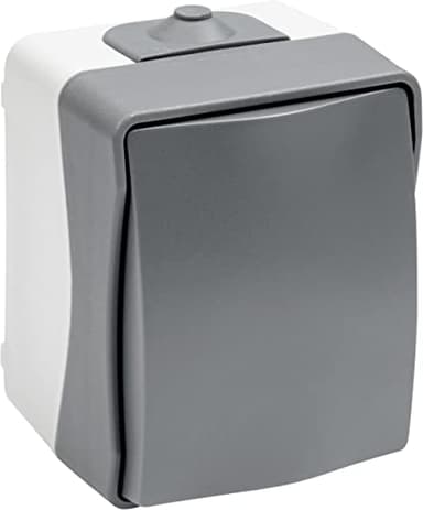 Meister Bouton-poussoir Cave 1 voie – Montage en saillie – Protection contre les projections d'eau IP44 pour pièces humides et extérieur – Jusqu'à la section du câble 2,5 mm² – Gris/Interrupteur de
