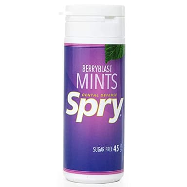 Spry Pastilles Saveur Fruits Rouges au Xylitol Sans Sucre – Favorisent la Santé Buccale, Stimulent la Salivation, Contre la Mauvaise Haleine – Sans OGM, Sans Gluten, 45 Count (Pack of 1)
