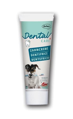 Bubimex - Dentifrice pour Chiens - Goût Bœuf - Brossage Facile et sans Danger - Protège Contre La Plaque Dentaire - Assure Une Haleine Fraîche - Tube de 100 g