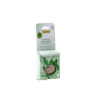 Top Filter 0720150 Sachets de granulés parfumants pour aspirateur Senteur Menthe/Eucalyptus, granulés de Senteur pour aspirateur avec et sans Sac Odeur Menthe et Eucalyptus, Vert