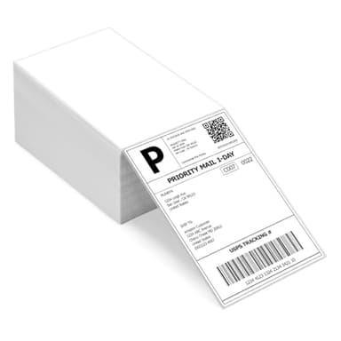 Carehabi Lot de 500 Étiquettes d'expédition Thermiques 10 x 15 cm, Adresse Autocollantes Résistant aux rayures, à l'eau, à la saleté, à la poussière et à la graisse
