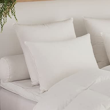 DODO | Oreiller Micro Green Medium 50x70 | Sensation Duvet Gonflant | Enveloppe Percale de Coton | Garnissage Éco-Responsable en Polyester Recyclé | Idéal pour Dormeurs Côté I Fabriqué en France