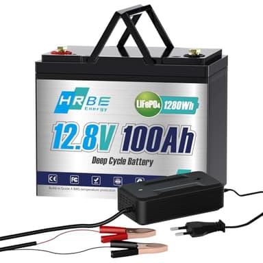 HRBEENERGY Batterie LiFepo4 12V 100Ah, Rechargeable batterie au lithium portable avec 100A Protection BMS et 4000-15000 Cycles, Parfait pour Camping-Car, Système Solaire, Bateaux