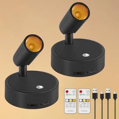 Dehobo Applique Murale Intérieure Rechargeable USB avec Commande Tactile et Télécommande - 3 Couleurs Dimmable Intensité Variable - Sans Fil Spot Murale LED avec Timer pour Chambre, Art Plantes,2 PCS