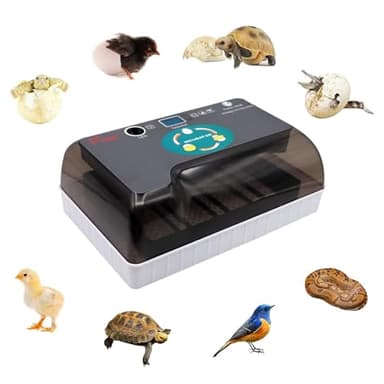 12 Incubateur D'Oeufs Incubateur D'Oeufs Tortue éClosoir Reptiles Couveuse Thermostatique Tortue avec Retourneur D'Oeufs Automatique Couvercle Visible Affichage LED NuméRique(12 Eggs)