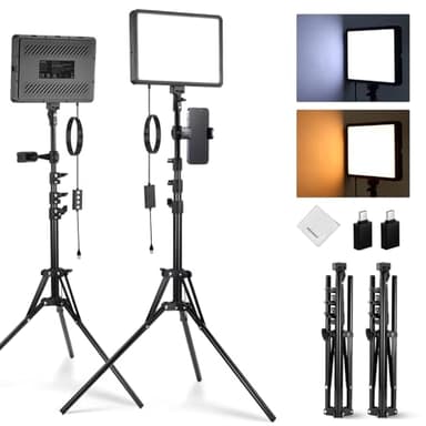 NEEWER BASICS Kit d'Lampe Photo, 2 Panneau LED, Bicolore 2700-6500K, Intensité Variable, avec 2 Trépieds de 59 pouces et 2 Supports de Téléphone,850lux pour Vidéo Photographie Tournage Streaming,BP300