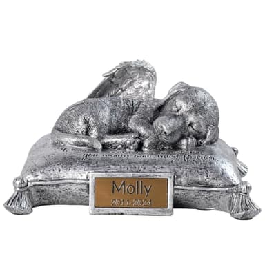 SpeXyngial Urne funéraire en bois pour chat et chien - Urne funéraire personnalisée pour animal domestique