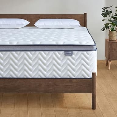 Lynnbery Matelas 160x200 cm, Hauteur 25 cm, Matelas en boîte, Mousse mémoire Hybride à & Ressorts ensachés, Fermeté Moyenne, Isolation des mouvements, Certifié Oeko-TEX​​