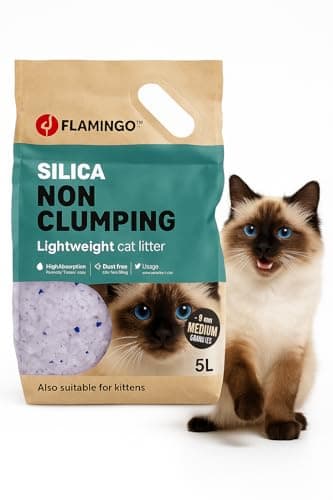 Flamingo Litière pour chat Silice Granulés de tailles intermédiaire - Medium 5L - Convient également aux chatons - Absorbe rapidement
