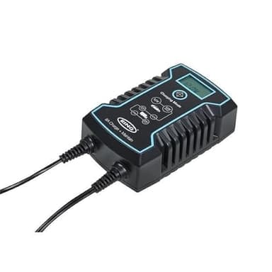 Ring - Chargeur DE Batterie Automatique 12/24V Camping Car, Stop and Start