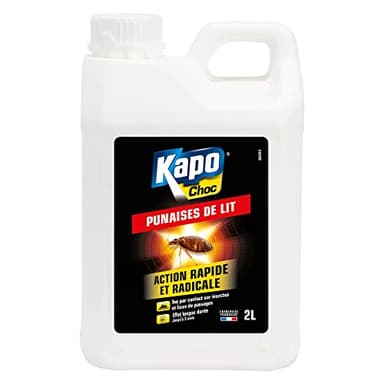 K.PRO - Insecticide Punaises de Lit - Action Rapide et Radicale - Tue par Contact - Techniques Professionnelles - Effet Longue Durée Jusqu'à 3 Mois - 2 L