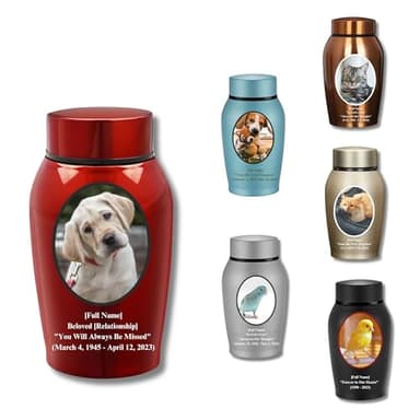 Urne personnalisée pour chiens et chats, boîtier en acier titane, bonne étanchéité, nom et photo personnalisés pour animaux de compagnie (ovale)
