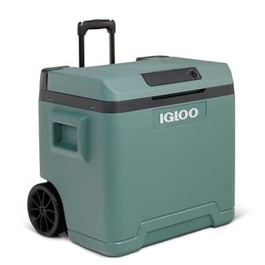 IGLOO Glacière électrique IE42 avec poignée télescopique et roulettes pour voiture et prise de courant, 42 L, 12V et 230V, vert
