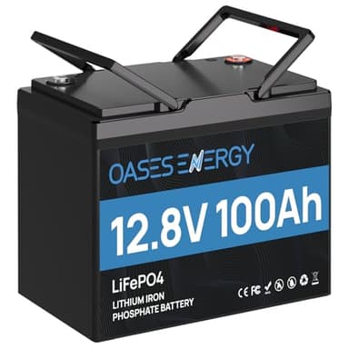 Oasesenergy Batterie Lithium 12V 100Ah Mini, Batterie LiFePO4 Rechargeable BMS 100A Intégré, 4000~15000 Cycles, Batterie pour Caravanes,Camping-car, Système solaire, Bateau, Hors-Réseau,ect.