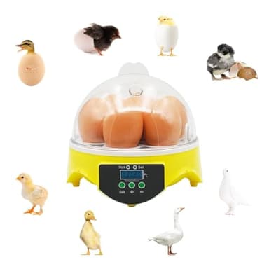 ATLION 12 Incubateur D'Oeufs Incubateur D'Oeufs Tortue éClosoir Reptiles Couveuse Thermostatique Tortue avec Retourneur D'Oeufs Automatique Couvercle Visible Affichage LED NuméRique(7 Eggs)