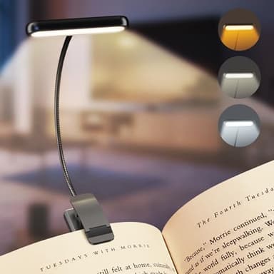 iFalarila Lampe de Lecture Rechargeable avec Câble de Type-C, Liseuse Lampe Clip [3 Couleurs et 10 Luminosités] Mini Veilleuse Flexible à col de Cygne et à Pince pour Les Enfants