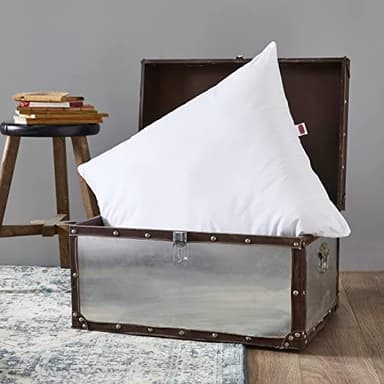 DODO - Oreiller Naturel Anti-acariens 65x65 cm - Confort Médium, Zip Invisible - Enveloppe 100% Coton Percale - Garnissage 30% Duvet 70% Plumettes - Lavable en Machine à 40°C