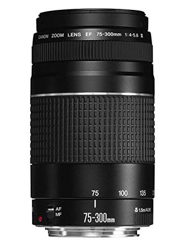 Canon 6473A003 Objectif pour Reflex EF 75-300mm f / 4.0-5.6 III, noir