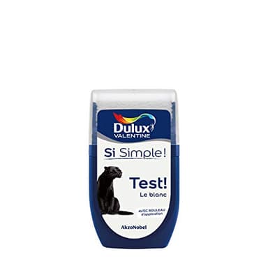 Dulux Valentine Peinture Si Simple - Testeur Couleur le Blanc 30 ml