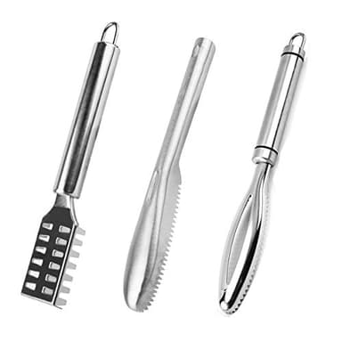 DBAILY 3pcs Ecailleur de Poisson Professionnel Ecailleur de Poisson en Acier Inoxydable pour Fish Scales Cleaner Brosse Rasoir Remover Détartrant Outils De Pêche
