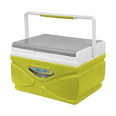 Glacière de Pique-Nique 4,5 Litres - Garde le Contenu au Frais Pendant 48 Heures - Portable, Sans BPA pour Barbecue, Camping (Vert Citron)