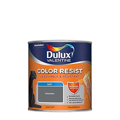 Dulux Valentine Color Resist Pièces à Vivre - Peinture Intérieure Murs, Plafonds, Boiseries - Lessivable et Résistante - Couleur : Charbon - 0,5 L