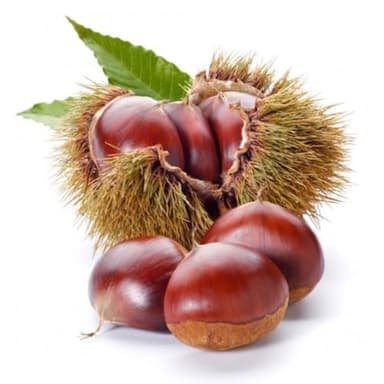 TiBioNa Italia Chutes de Glace Marron 5Kg