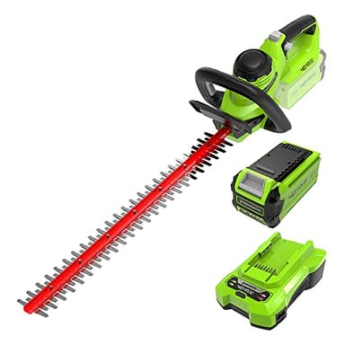 Greenworks G40HT61K2, Taille-Haie à Batterie, Lames Double Action 61 cm, Coupe jusqu'à 27 mm d'Épaisseur, 3000 tr/min, Batterie 40V 2Ah et Chargeur, Garantie 3 Ans