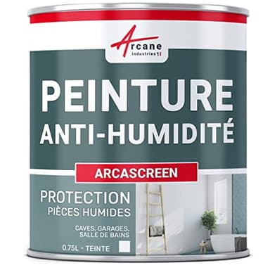 ARCANE INDUSTRIES Peinture anti humidité pour mur salle de bain et intérieur | Traitement préventif des moisissures : ARCASCREEN - 0.75 L (jusqu'à 3 m