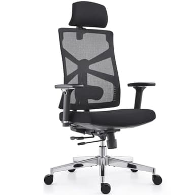 HOLLUDLE Chaise de Bureau Ergonomique avec Dossier Adaptable, Fauteuil D'ordinateur avec Accoudoirs 4D, Profondeur D'assise Réglable, Soutien Lombaire et Appui-tête 2D, Siège de Travail Exécutif, Noir