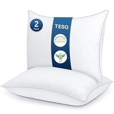 TESQ Oreiller 50x70 cm Lot de 2, Qualité Hôtelière de Luxe Oreiller Lot de 2 Oreillers Confort Moelleux, Respirant et Hypoallergénique Certifié Oeko-TEX, Adapté à Toutes Les Positions de Sommeil
