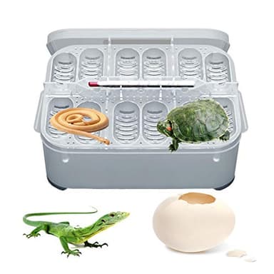Beesuya Incubateur pour reptiles, œufs, reptiles, incubateur automatique pour tortues, oiseaux, lézards, serpents, Delightful