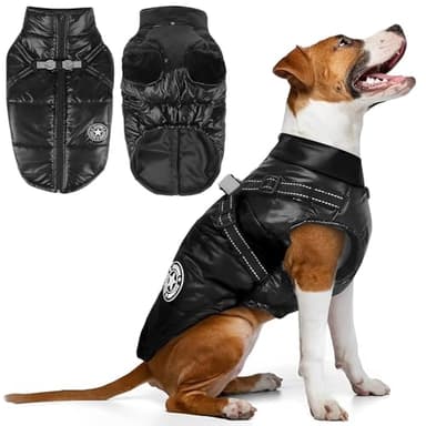 Manteau d'hiver Imperméable pour Petit Chien, Veste Rembourrée avec Harnais et Anneau, Noir (Noir, L)