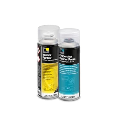 ERRECOM Total Care, Traitement Purifiant Complet pour systèmes de climatisation des véhicules et habitacles, Parfum Citron, 2 Bouteilles aérosol de 200 ML