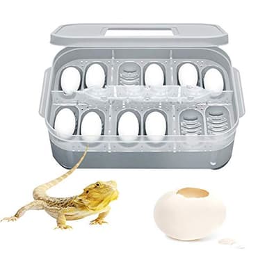 Incubateur Oeufs De Reptiles, Reptile Incubateur D'élevage pour Tortues, Oiseaux, Lézards, Serpents