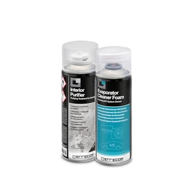 ERRECOM Total Care, Traitement Purifiant Complet pour systèmes de climatisation des véhicules et habitacles, Parfum Talc, 2 Bouteilles aérosol de 200 ML
