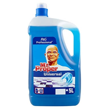 Mr Propre Bidon de Nettoyant Multi-usages Fraîcheur Hiver, 5 L