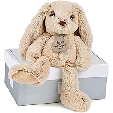 Histoire d'Ours - Peluche Lapin - Boite Cadeau - Beige - 25 Cm - Douce et Mignonne - Idée Cadeau de Naissance et Anniversaire Fille et Garçon - HO2430